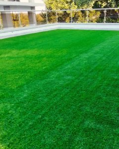 Báo Giá Cỏ Nhân Tạo 2025